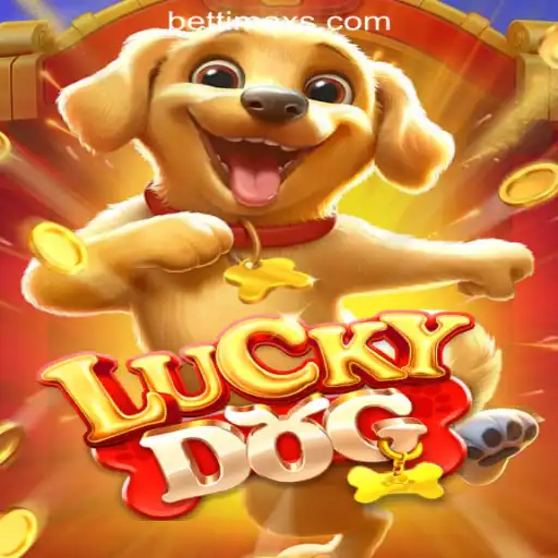 LuckyDog: A Thrilling Adventure for Brazilian Gaming Enthusiasts